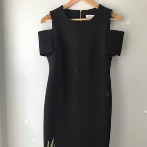Calvin Klein Fitted Little Black Dress